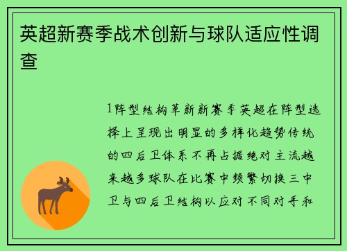 英超新赛季战术创新与球队适应性调查